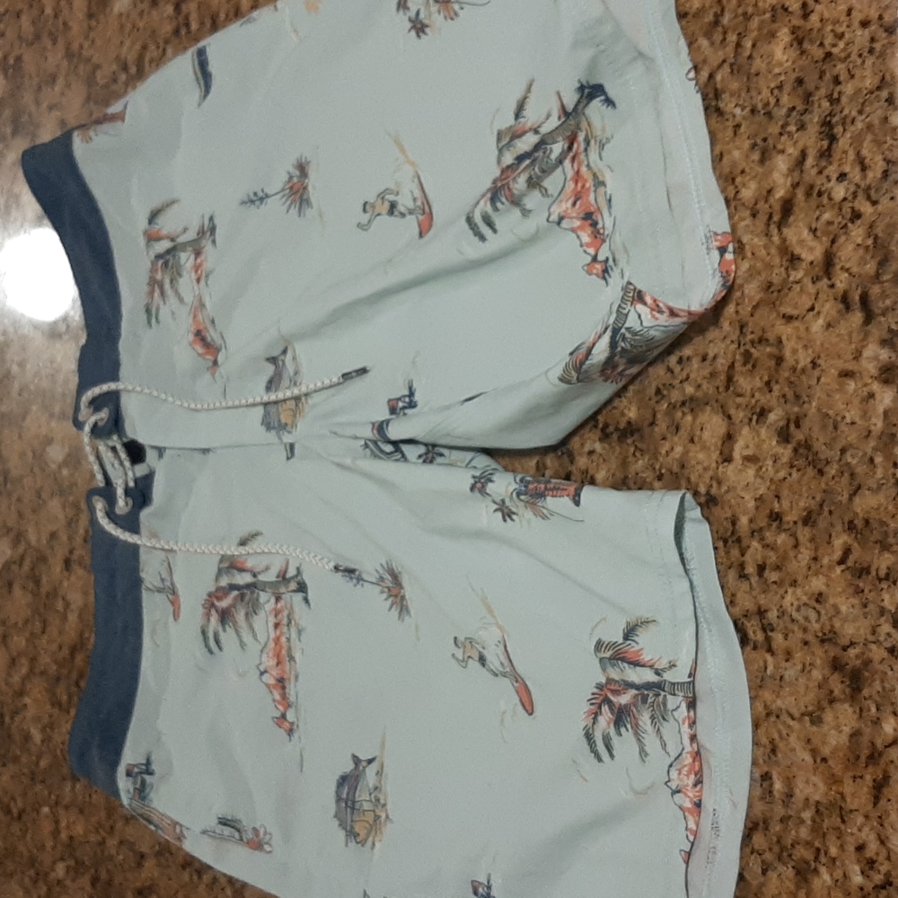 Salty Crew boardshorts